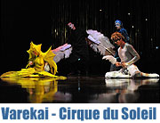 Cirque du Soleil - Varekai im weißen “Grand Chapiteau” Olympiastadion München vom 01.04.-02.05.2010 (Foto: Ingrid Grossmann)
